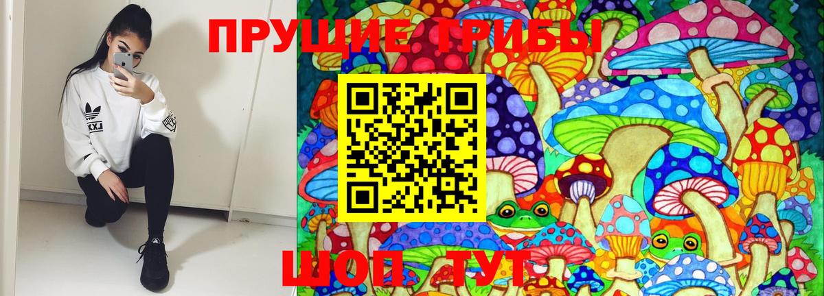 Псилоцибиновые грибы Psilocybine cubensis Киселёвск