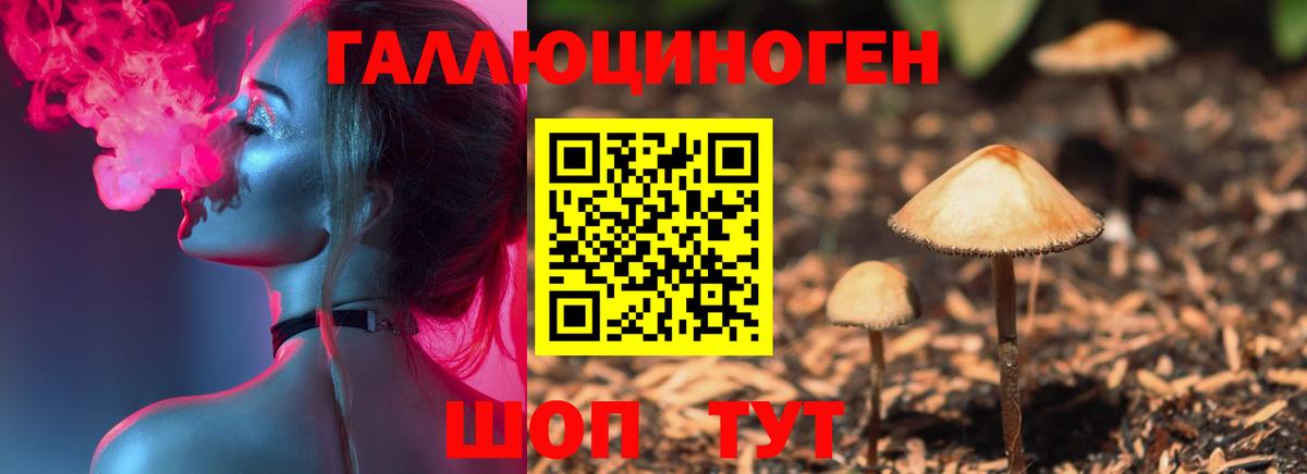 Киселёвск  Псилоцибиновые грибы мухоморы  Вход с VPN 
